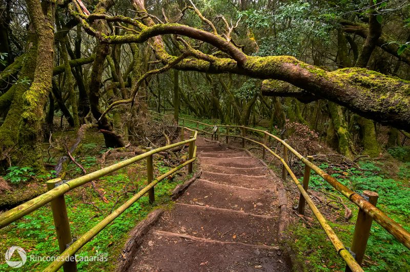 P.N Garajonay-Meriga