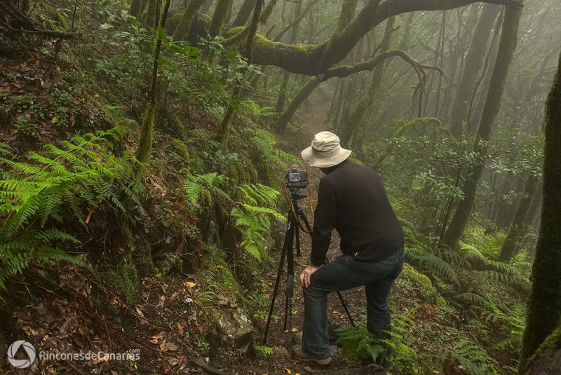 P.N Garajonay-Meriga