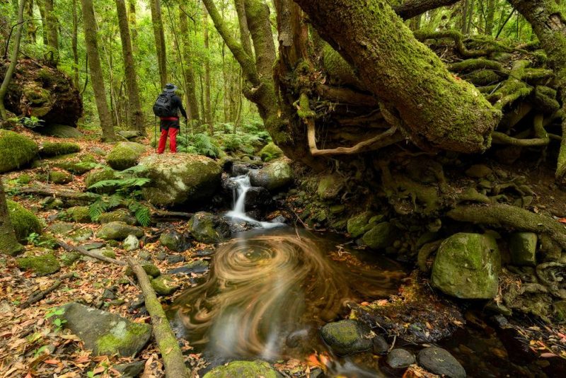 P.N Garajonay-Meriga